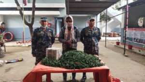 खुर्सानीको बोराभित्र लुकाएर लागुऔषध ओसारपसार, एक जना पक्राउ