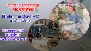 बाटोमा आगो ताप्नेले पाए दाउरा घरमा ताप्ने सुत्केरी समेतले पाएनन दाउरा